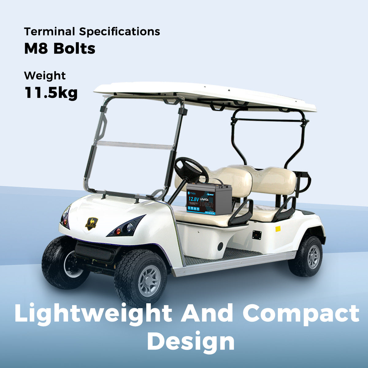 TTWEN 12V 100Ah Golf Cart LiFePO4 Lithium Battery